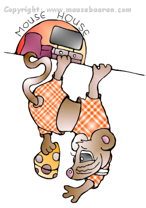 maus-haengend-kaese-mouse-house-illustration-comic-individuell-cartoons-zeichnungen-mausebaeren