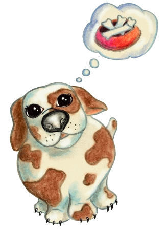 Taschenratte, Taschenratten, Minihunde, Chiwawa,  Hund, Hunde, Klaeffer, Kl&auml;ffer, Wauzis, Wauzi, Hundebaby, H&uuml;ndchen, Huendchen, Dogs by Christin