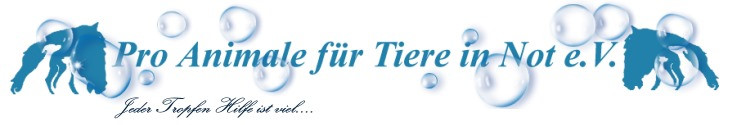 Pro Animale: Seit 1985 als gemeinn&uuml;tzig und besonders f&ouml;rderungs&uuml;rdig anerkannt. Spenden sind daher steuerlich absetzbar.