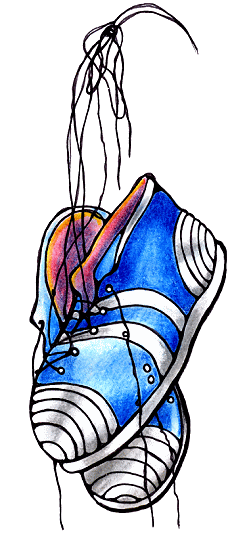 turnschuhe, sneaker, addidas, adidas, addiddas, schuhe, boots by Christine Dumbsky